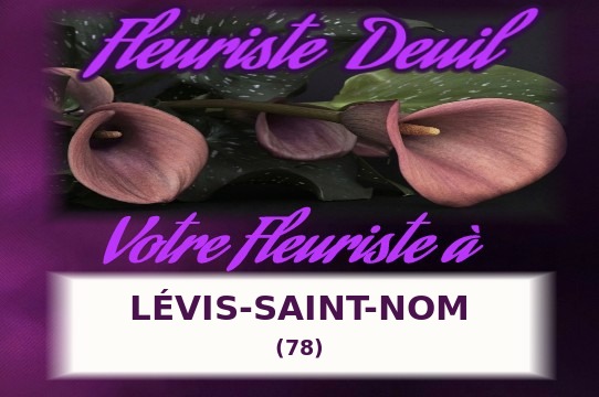 Votre fleuriste de deuil à L&eacute;vis-Saint-Nom (78)