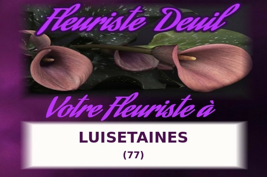 Votre fleuriste de deuil à Luisetaines (77)
