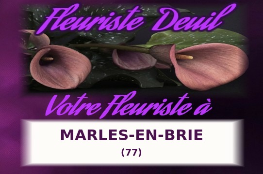 Votre fleuriste de deuil à Marles-en-Brie (77)