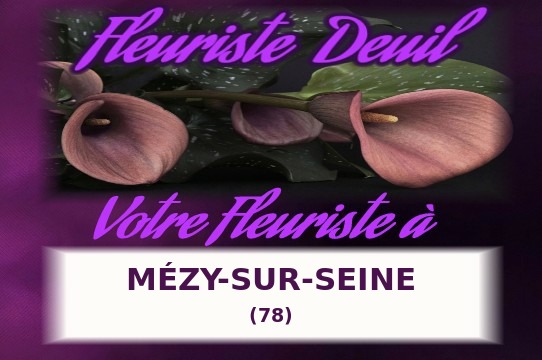 Votre fleuriste de deuil à M&eacute;zy-sur-Seine (78)