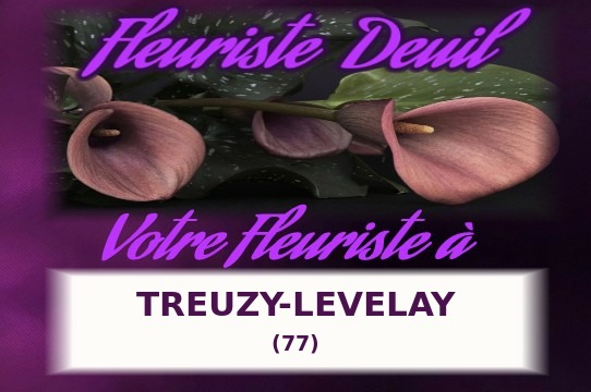 Votre fleuriste de deuil à Treuzy-Levelay (77)